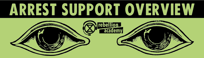 Title page saying "Arrest support overview"