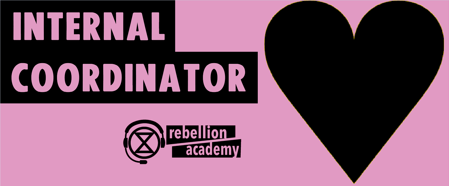 internal coordinator