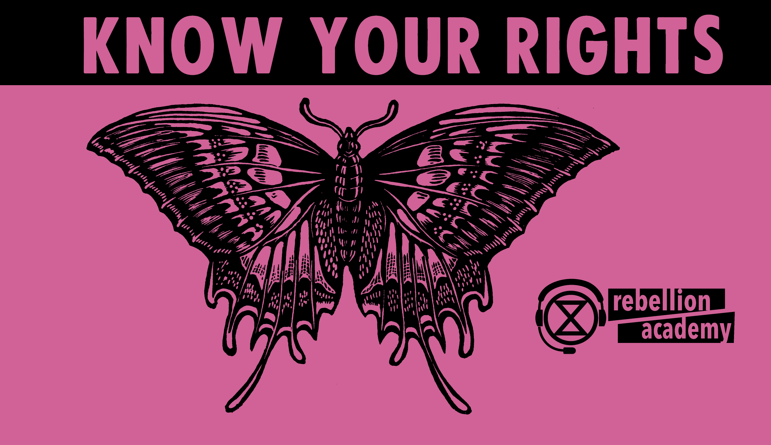 Banner image saying "know your rights"