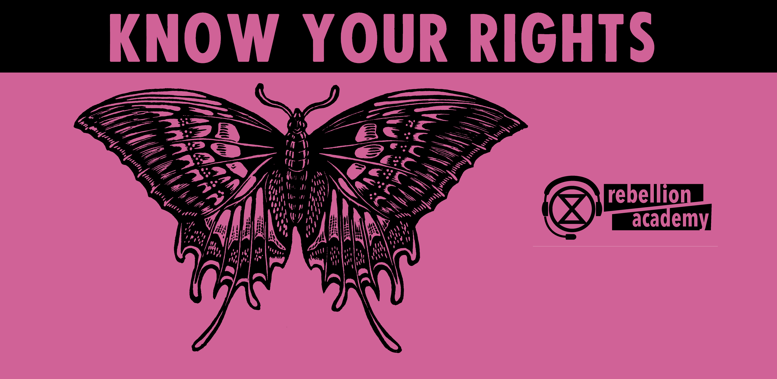 Banner image saying "know your rights"